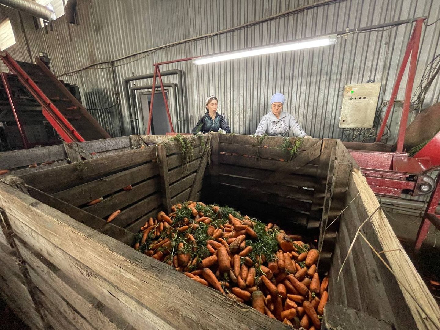 Дмитров, ЗАО Куликово, Минсельхоз,