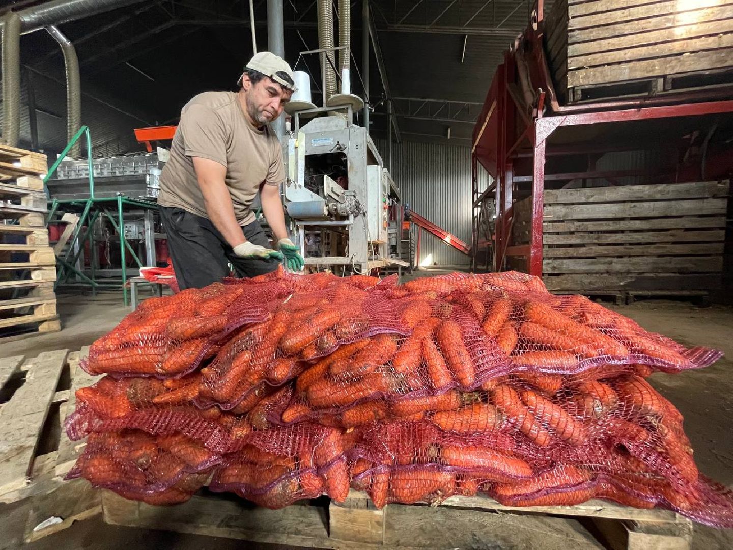 Дмитров, ЗАО Куликово, Минсельхоз,