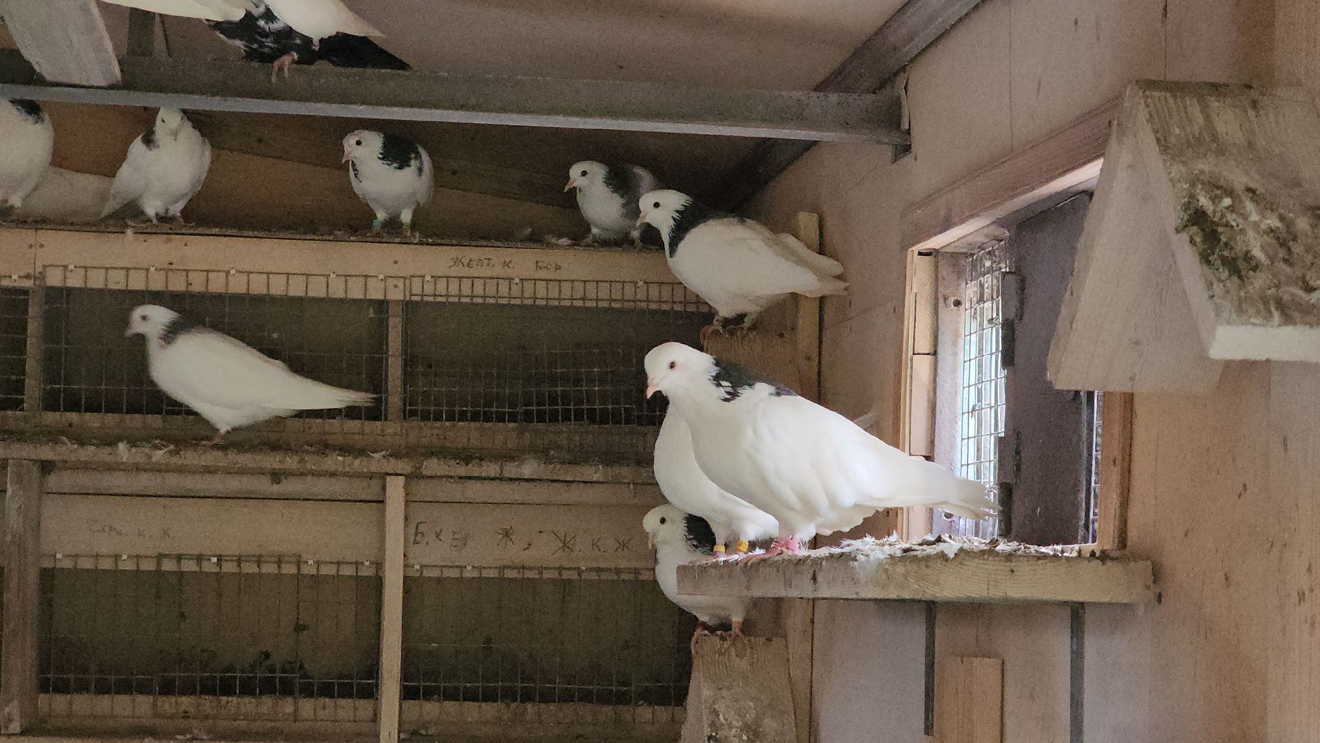 Переход через ЖД, Лобня, Строительство,