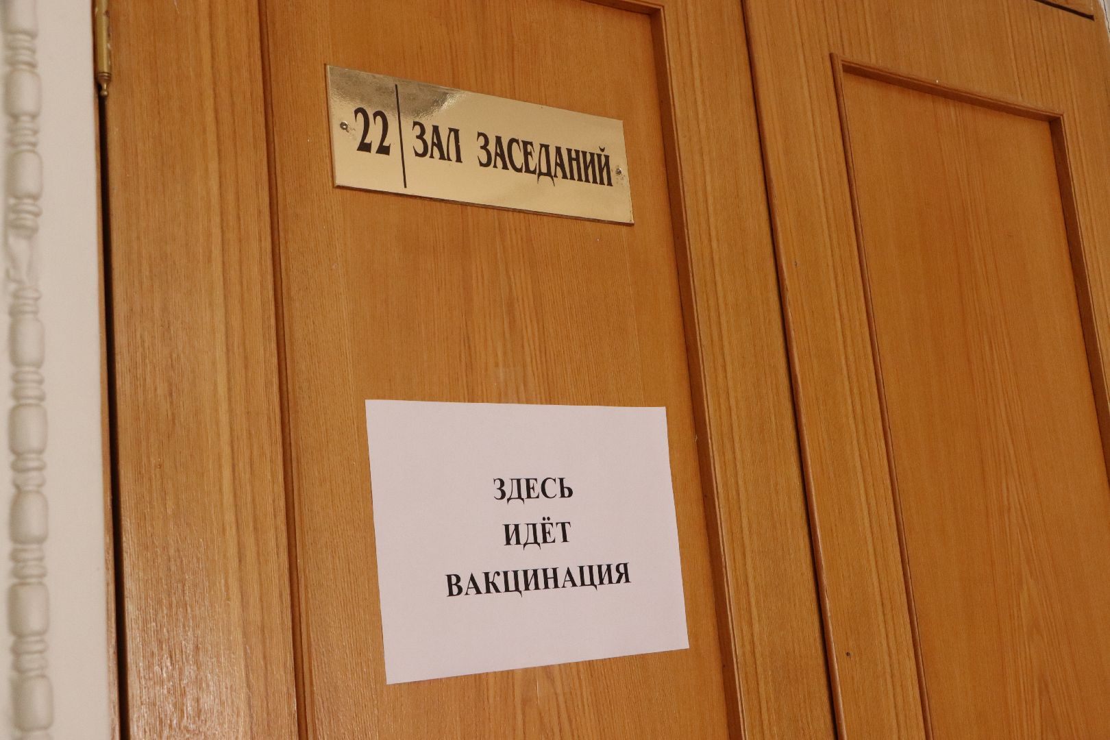 здравоохранение МО, медицина, вакцинация, прививка от гриппа,