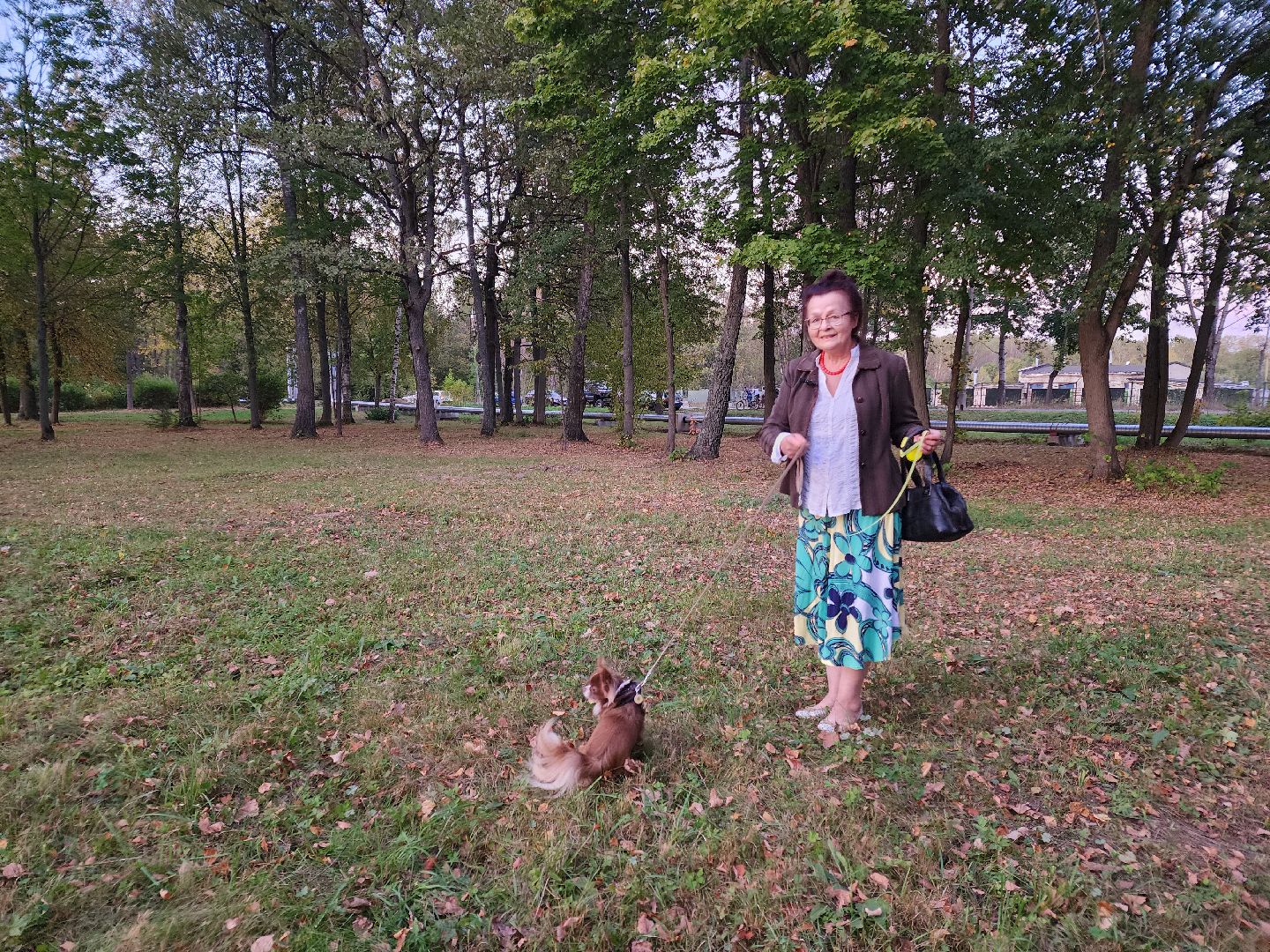 Чехов, деревня Алексеевка, поселок Чернецкое, выездная администрация, встреча с жителями, обращения жителей, благоустройство, улица Победы,