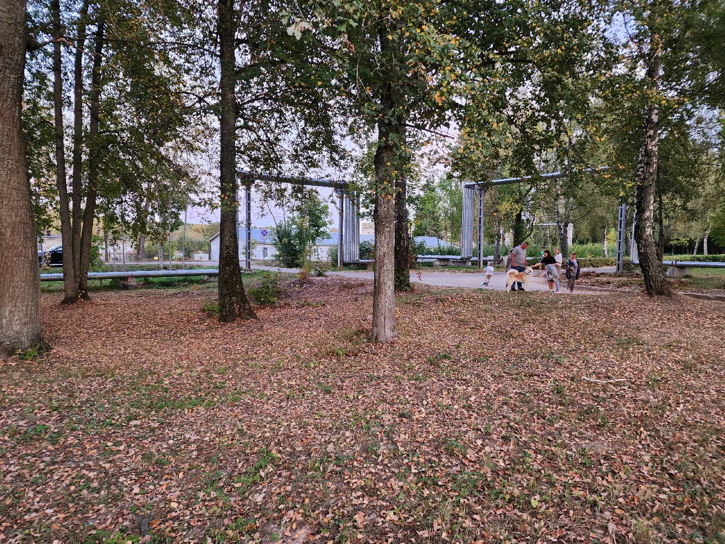 Чехов, деревня Алексеевка, поселок Чернецкое, выездная администрация, встреча с жителями, обращения жителей, благоустройство, улица Победы,