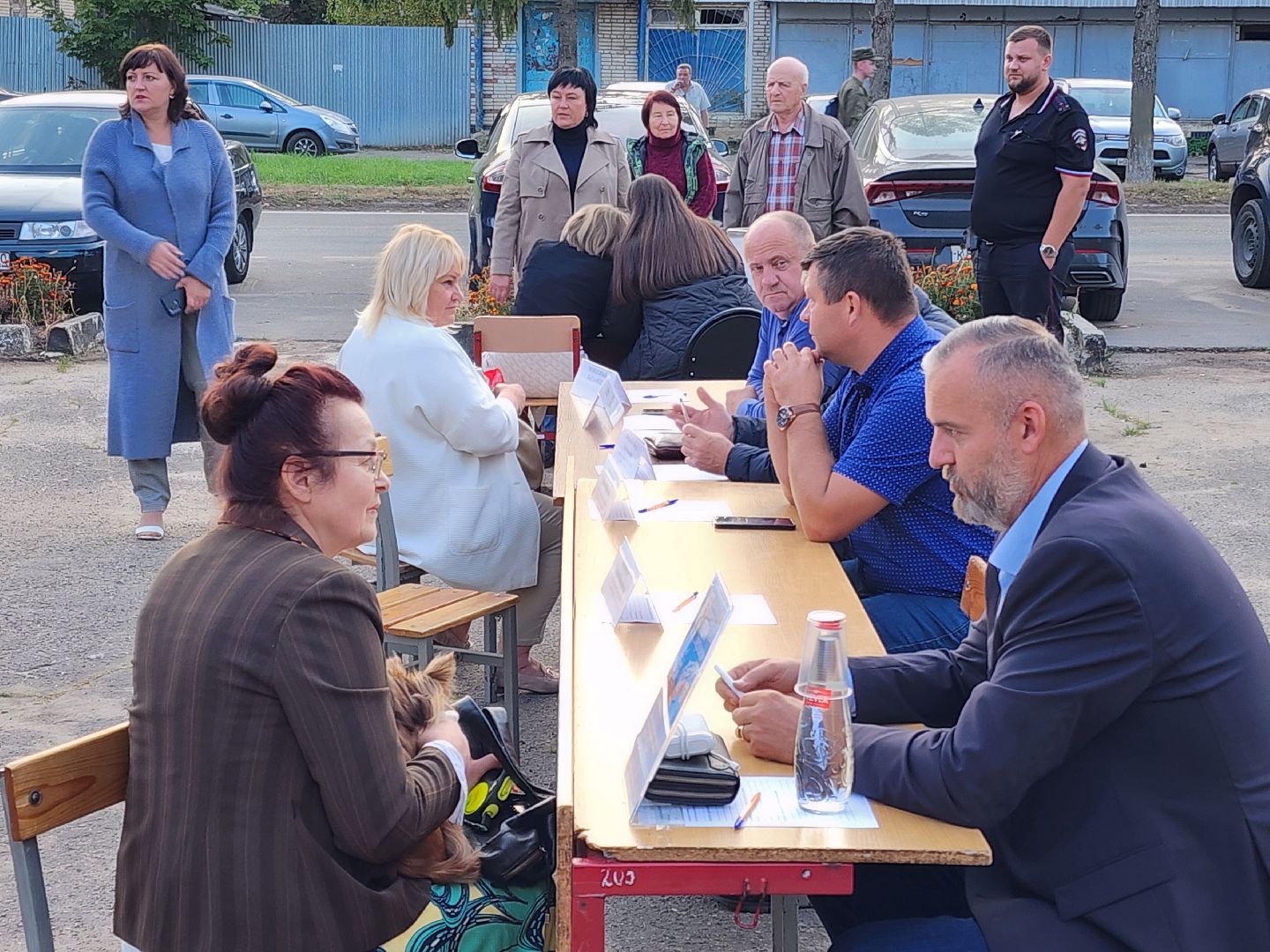 Чехов, деревня Алексеевка, поселок Чернецкое, выездная администрация, встреча с жителями, обращения жителей, благоустройство, улица Победы,