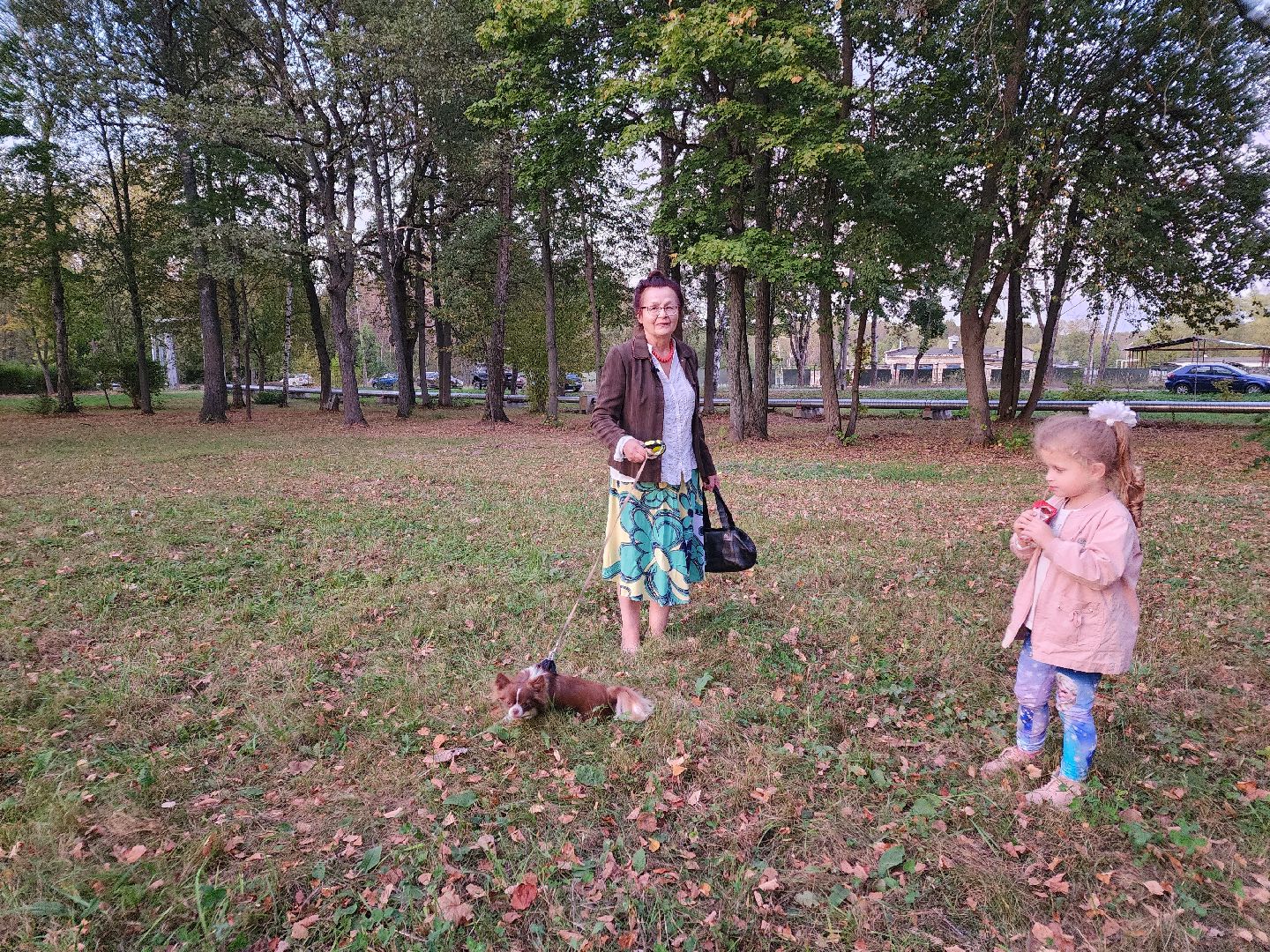 Чехов, деревня Алексеевка, поселок Чернецкое, выездная администрация, встреча с жителями, обращения жителей, благоустройство, улица Победы,