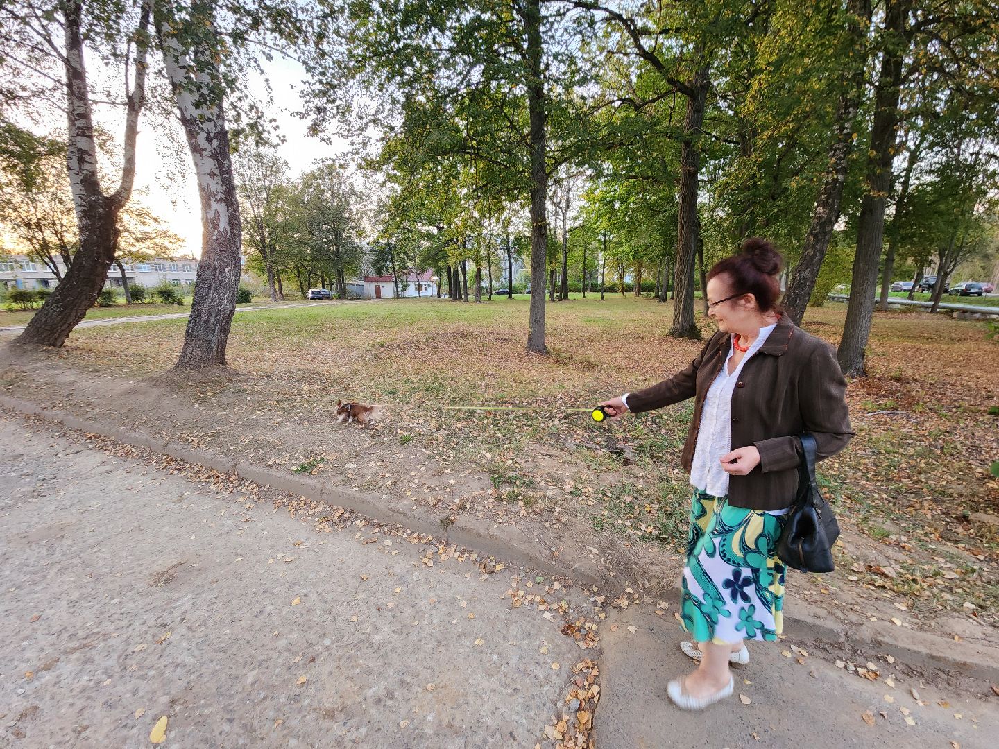 Чехов, деревня Алексеевка, поселок Чернецкое, выездная администрация, встреча с жителями, обращения жителей, благоустройство, улица Победы,