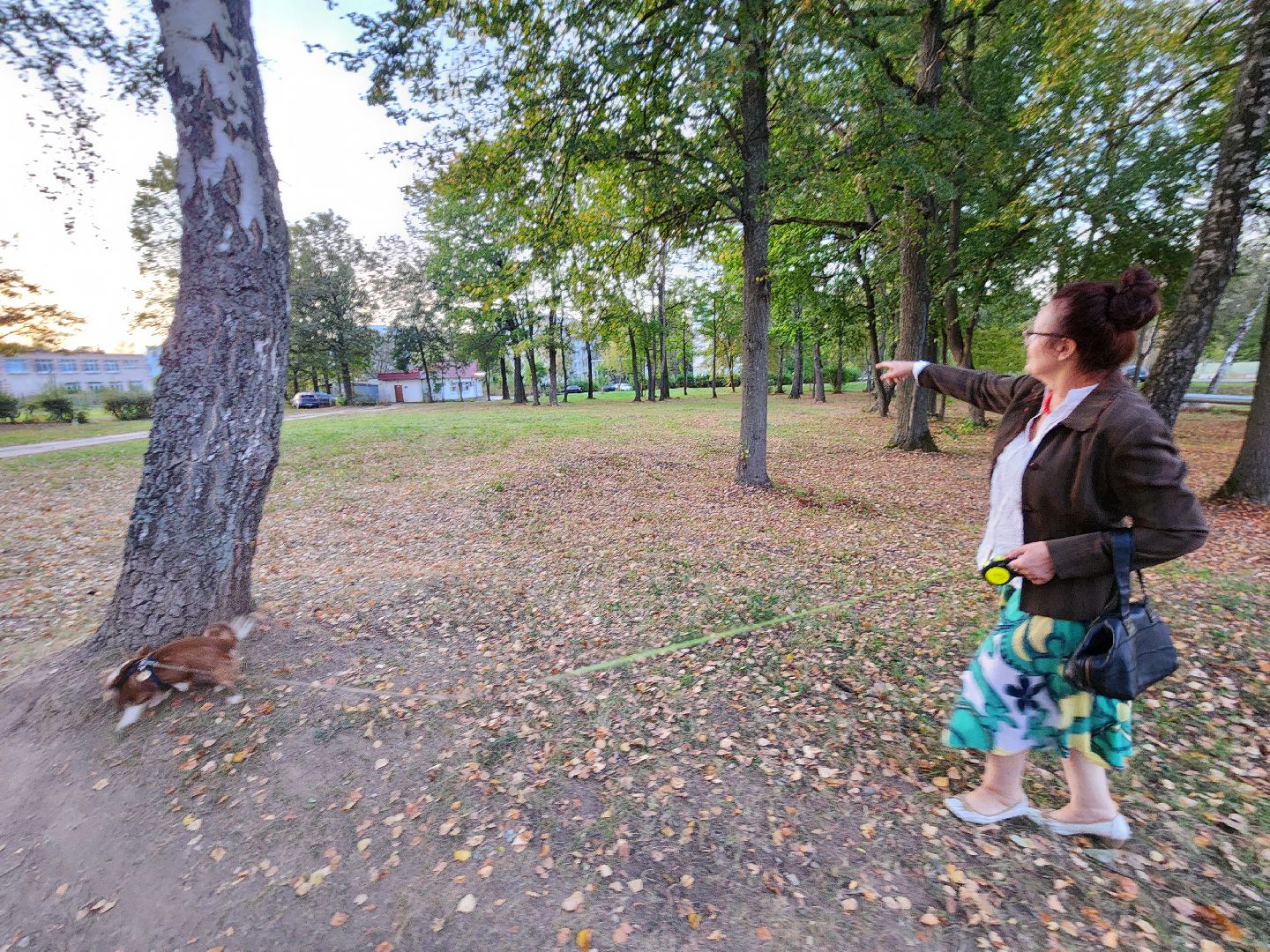 Чехов, деревня Алексеевка, поселок Чернецкое, выездная администрация, встреча с жителями, обращения жителей, благоустройство, улица Победы,
