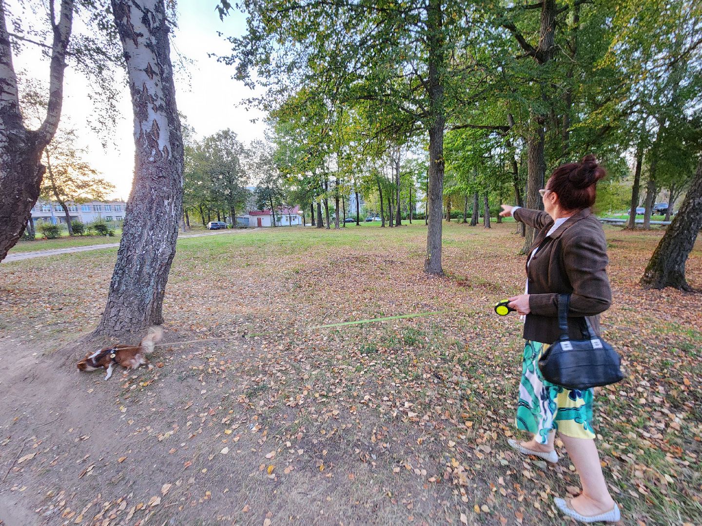 Чехов, деревня Алексеевка, поселок Чернецкое, выездная администрация, встреча с жителями, обращения жителей, благоустройство, улица Победы,