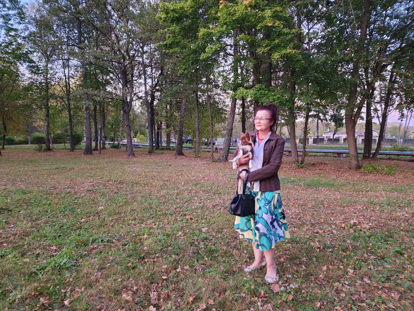 Чехов, деревня Алексеевка, поселок Чернецкое, выездная администрация, встреча с жителями, обращения жителей, благоустройство, улица Победы,