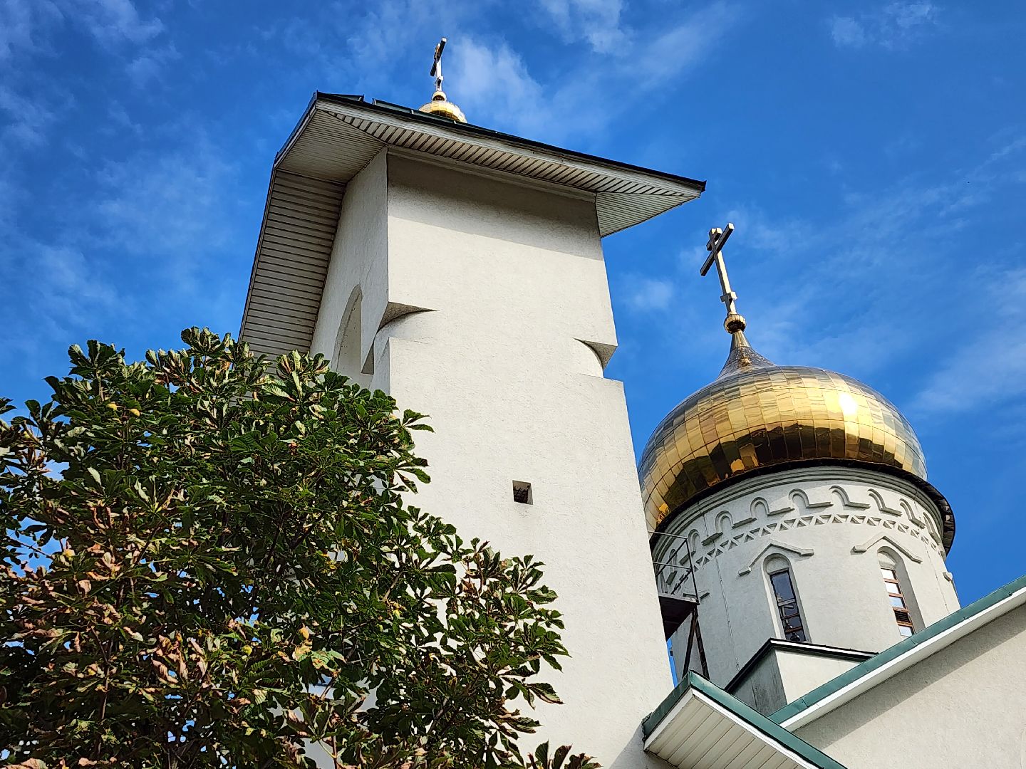пушкино,