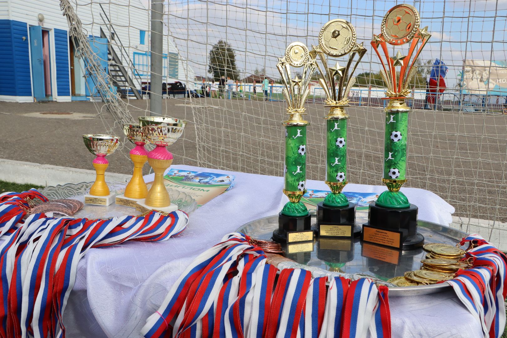 Серебряные Пруды, футбол, надежда Подмосковья Кавалер ордена Мужества, Сергей Мясин, СК Молодежный,