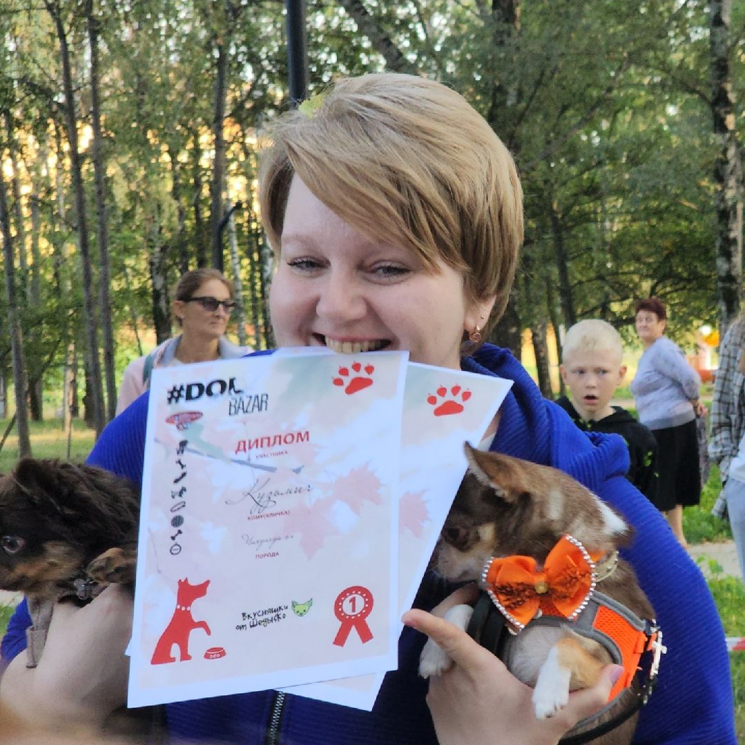 долгопрудный, арт-базар, дизайнеры, дрессура,центральный парк, x-легион,