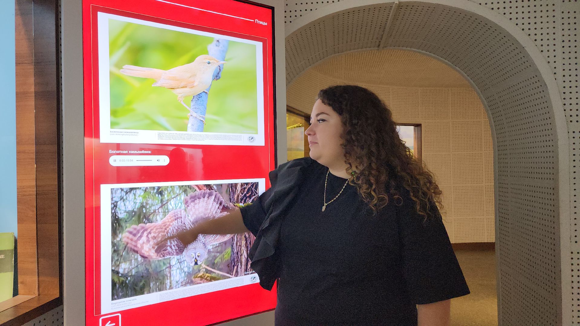 техническое оснащение музеев, государственная программа, культура, Ногинск, Богородский городской округ,