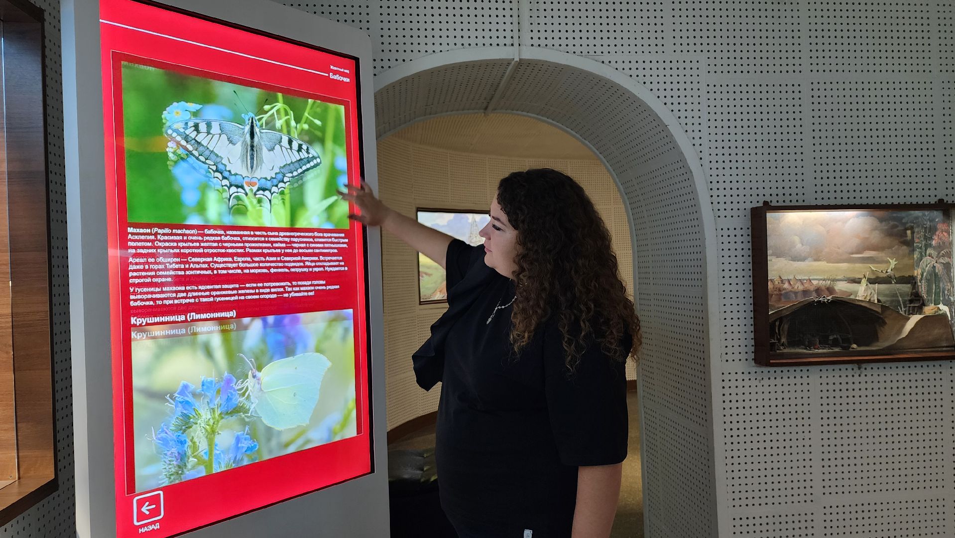 техническое оснащение музеев, государственная программа, культура, Ногинск, Богородский городской округ,