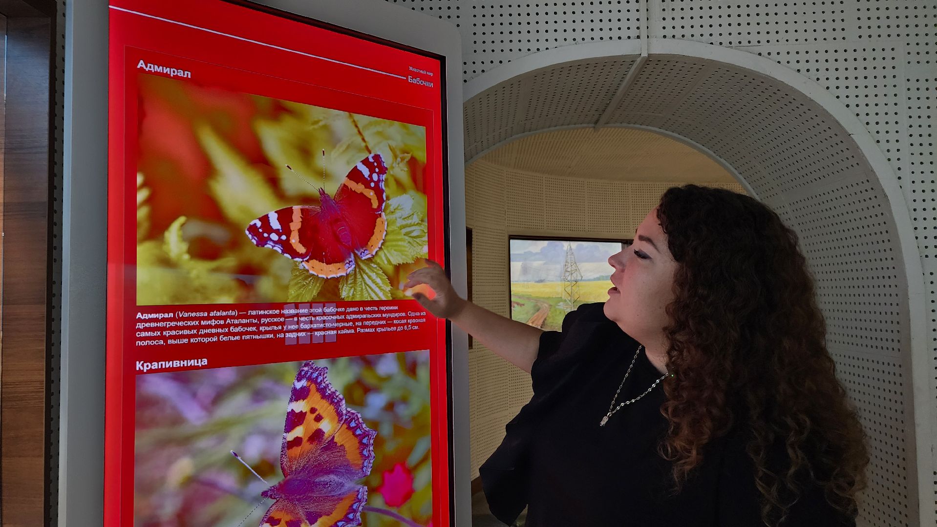 техническое оснащение музеев, государственная программа, культура, Ногинск, Богородский городской округ,
