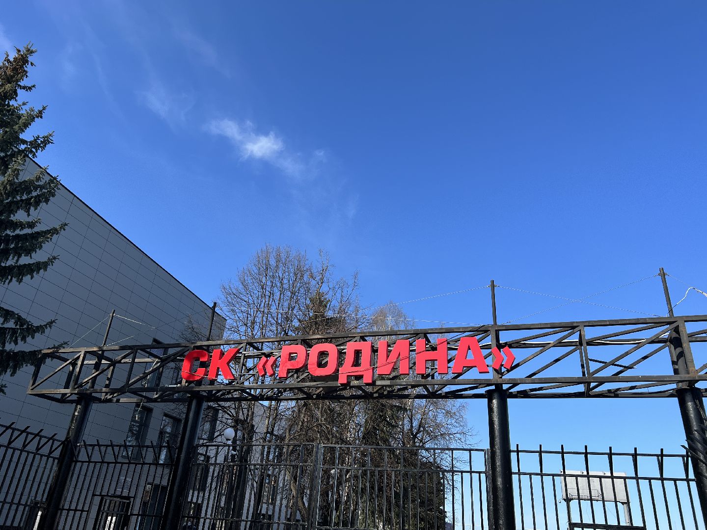 Химки, спорт, плавание, чемпионат