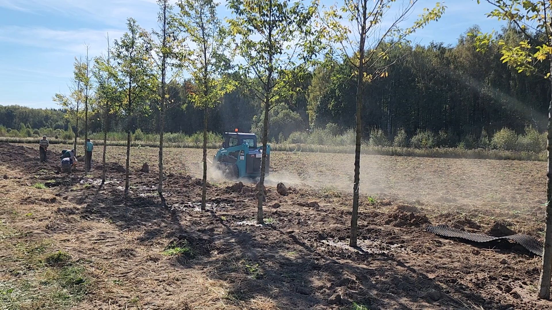 Бронницы, питомник растений, Сады Бэллы, Осенние работы в питомнике,