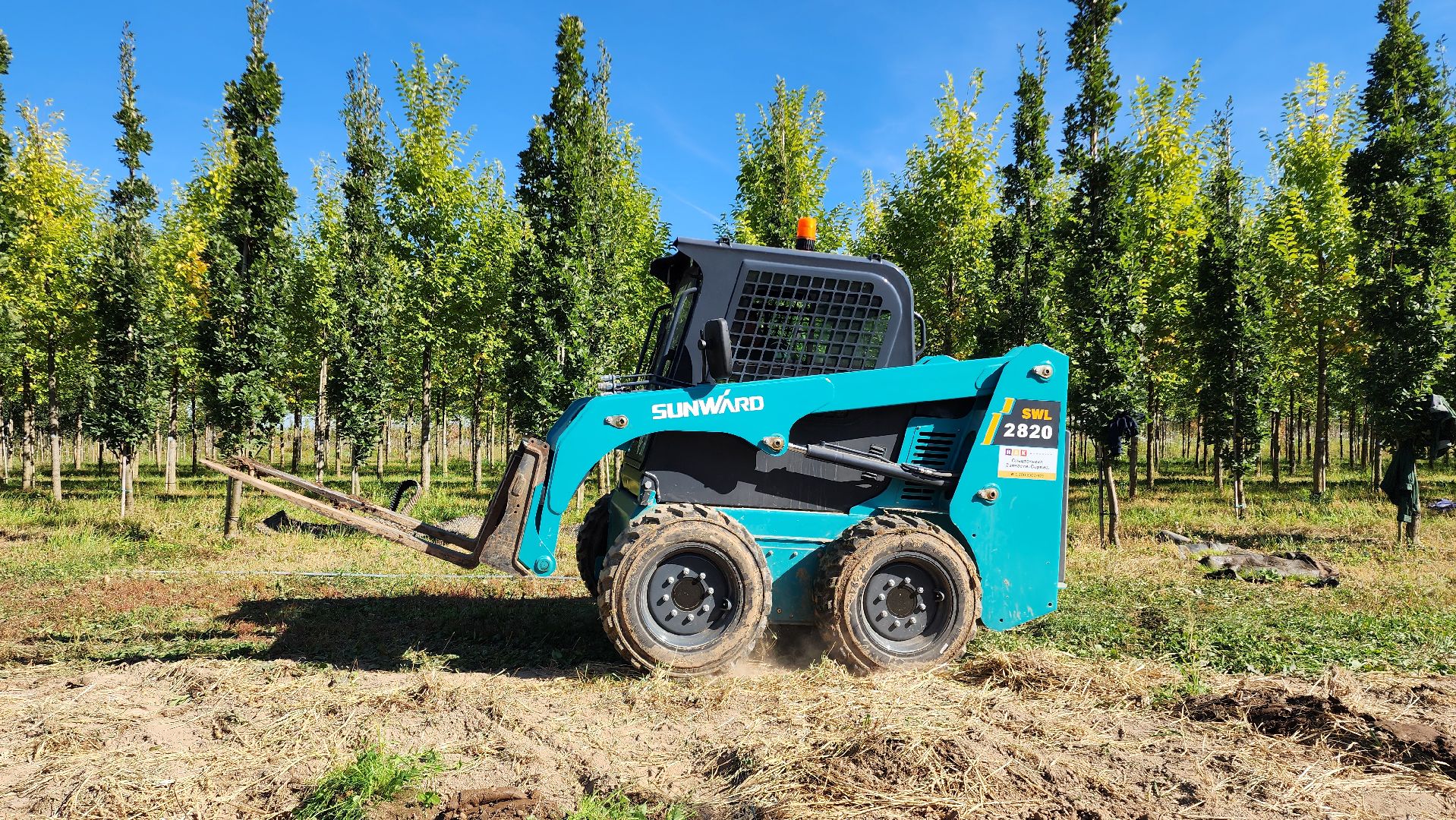 Бронницы, питомник растений, Сады Бэллы, Осенние работы в питомнике,