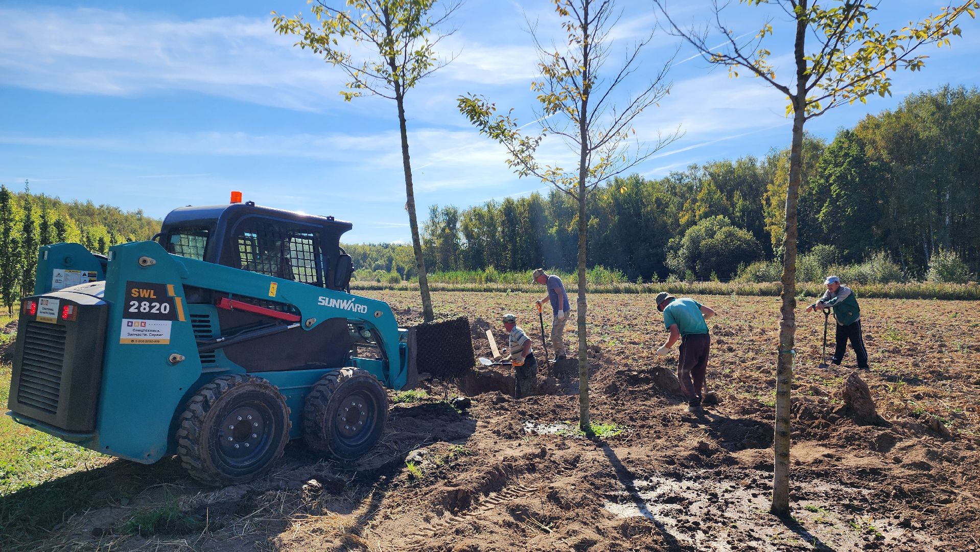 Бронницы, питомник растений, Сады Бэллы, Осенние работы в питомнике,
