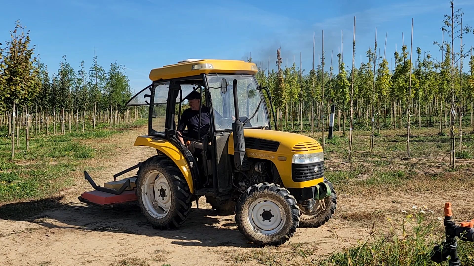 Бронницы, питомник растений, Сады Бэллы, Осенние работы в питомнике,
