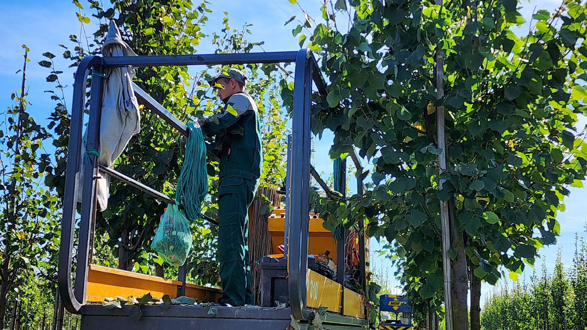 Бронницы, питомник растений, Сады Бэллы, Осенние работы в питомнике,