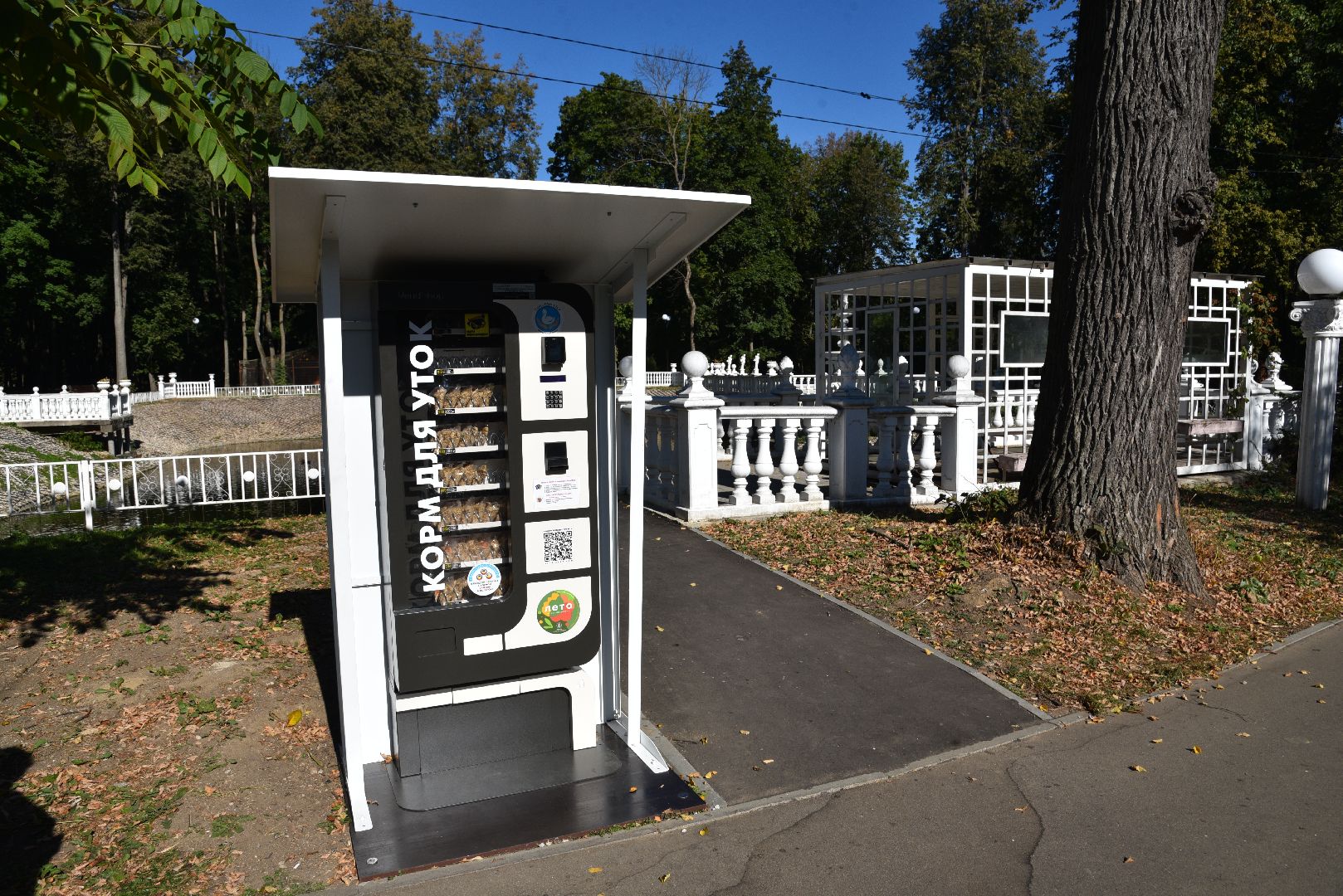 лотошино, лотошинский парк, утка, парки подмосковье,