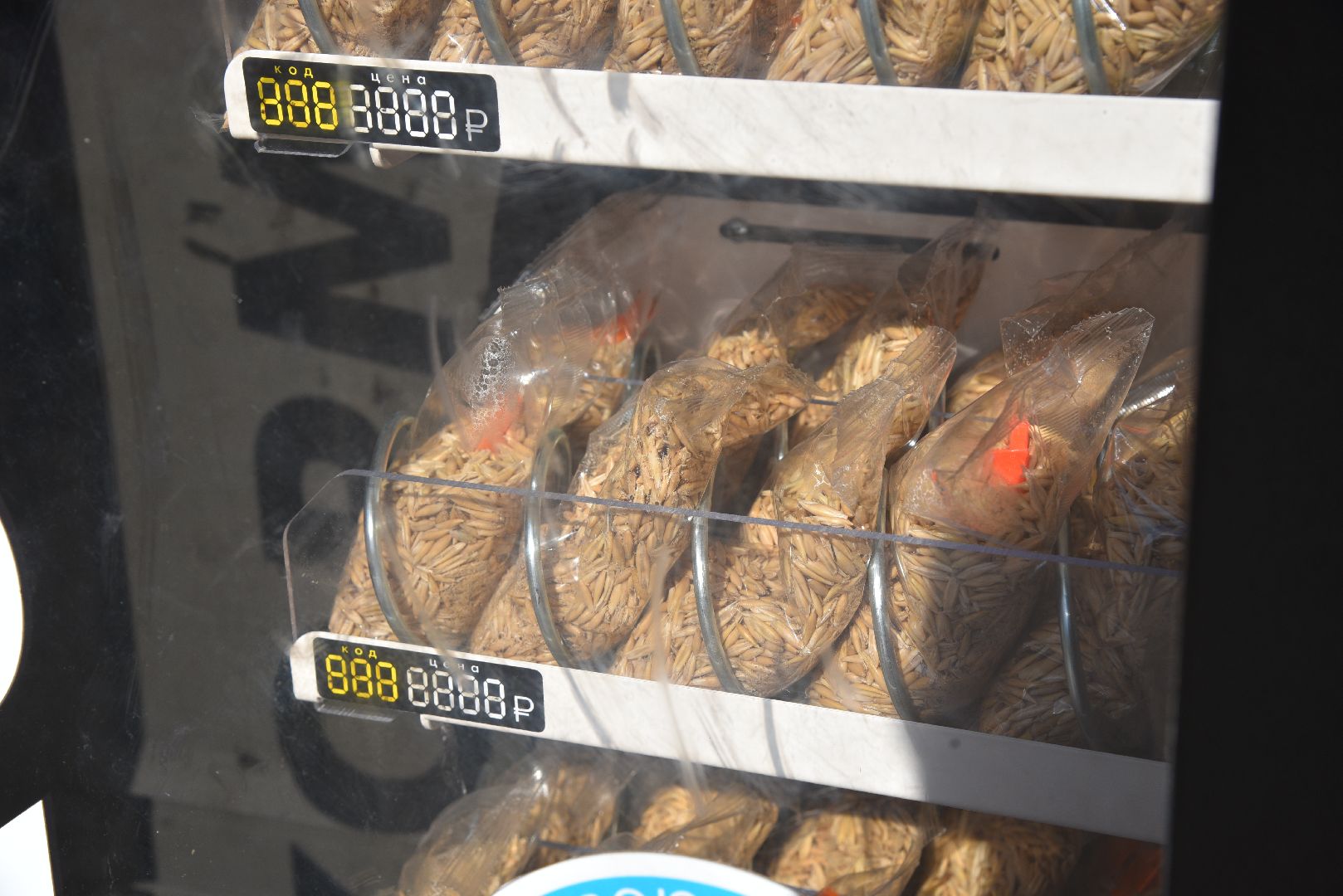 лотошино, лотошинский парк, утка, парки подмосковье,