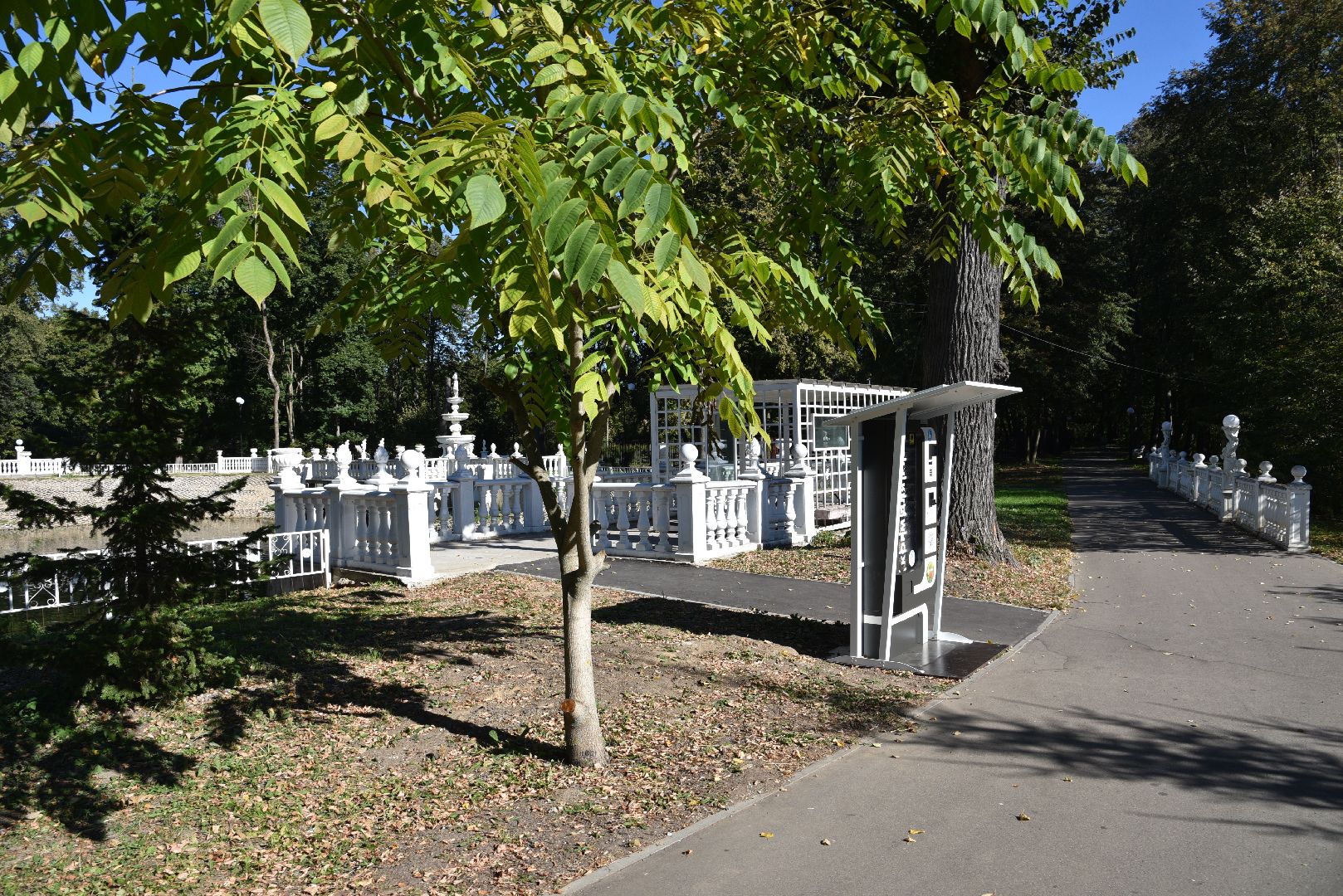 лотошино, лотошинский парк, утка, парки подмосковье,