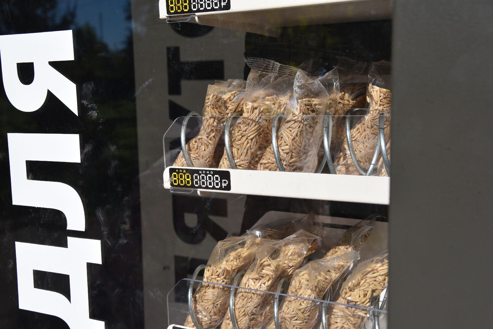 лотошино, лотошинский парк, утка, парки подмосковье,