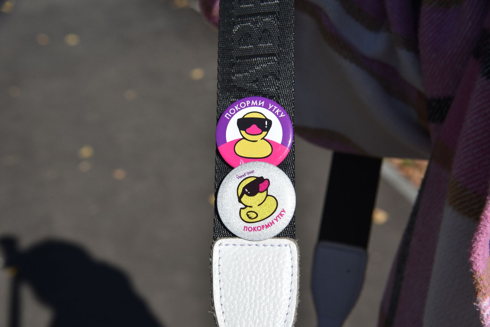 лотошино, лотошинский парк, утка, парки подмосковье,