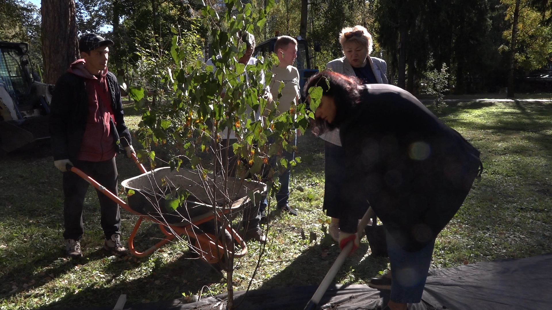 акция посадка деревьев, озеленение Власихи, День в лесу сохраним лес вместе, посади свое дерево, березовая роща Власиха,