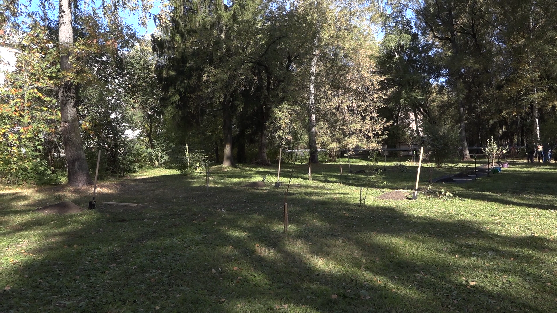 акция посадка деревьев, озеленение Власихи, День в лесу сохраним лес вместе, посади свое дерево, березовая роща Власиха,