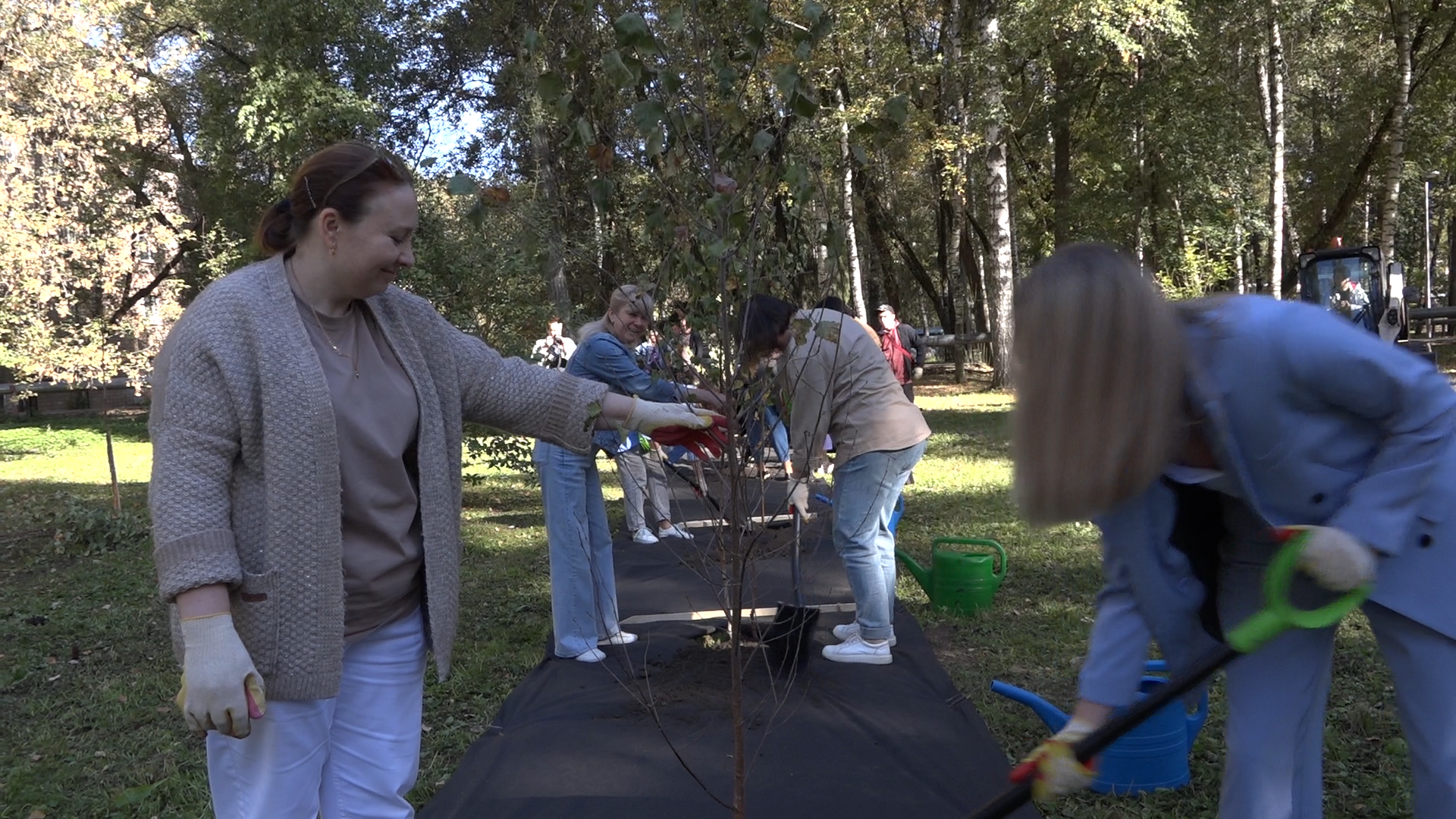 акция посадка деревьев, озеленение Власихи, День в лесу сохраним лес вместе, посади свое дерево, березовая роща Власиха,