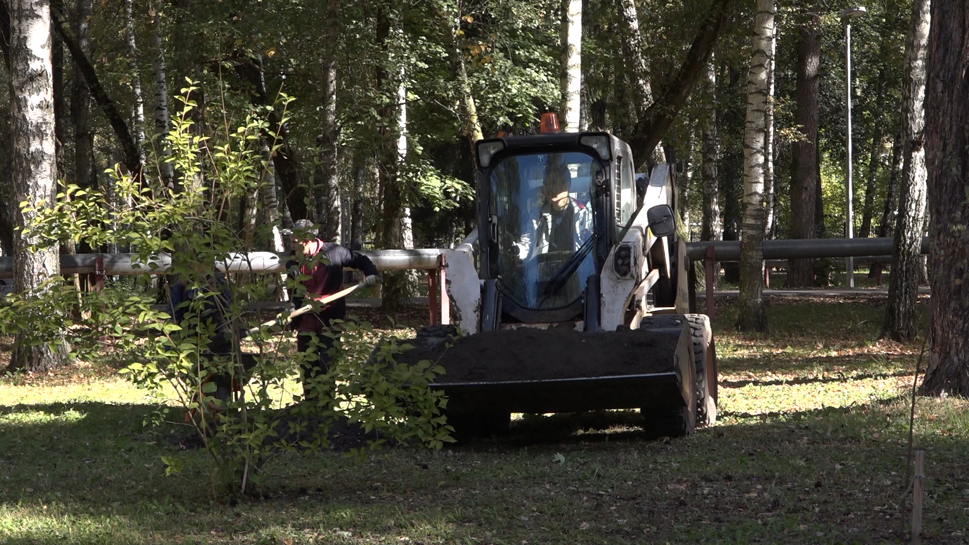 акция посадка деревьев, озеленение Власихи, День в лесу сохраним лес вместе, посади свое дерево, березовая роща Власиха,