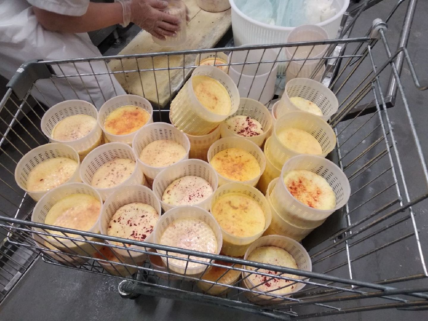 Дмитров, КФХ Свободный труд, Сыроварня, Минсельхоз МО