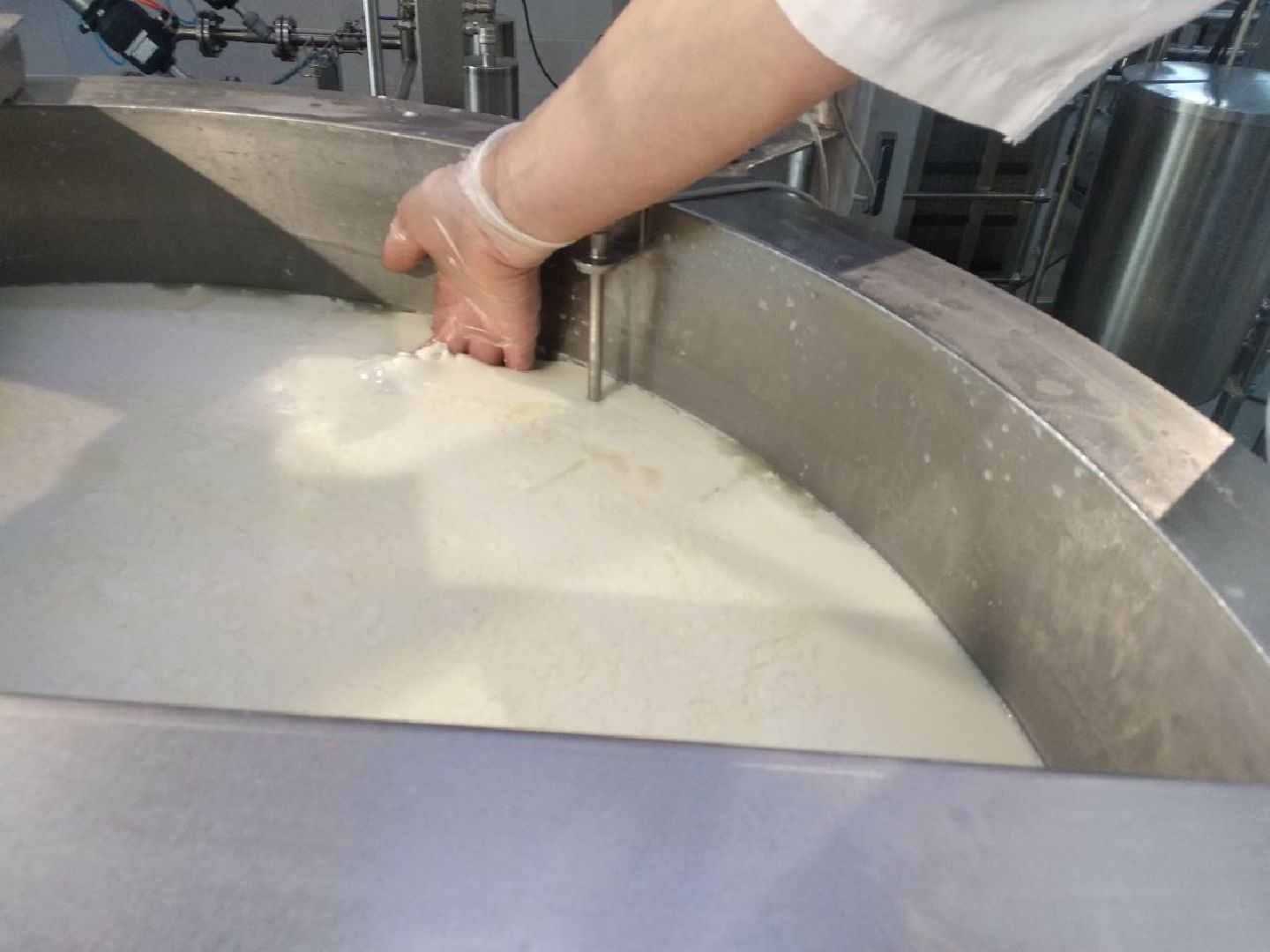 Дмитров, КФХ Свободный труд, Сыроварня, Минсельхоз МО