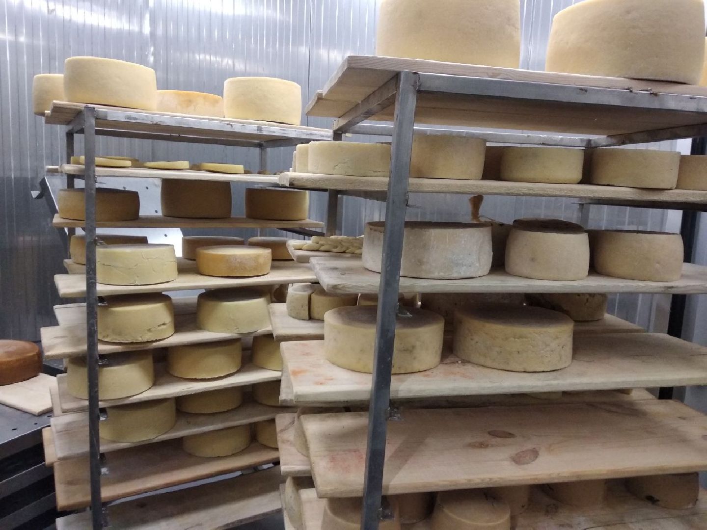 Дмитров, КФХ Свободный труд, Сыроварня, Минсельхоз МО