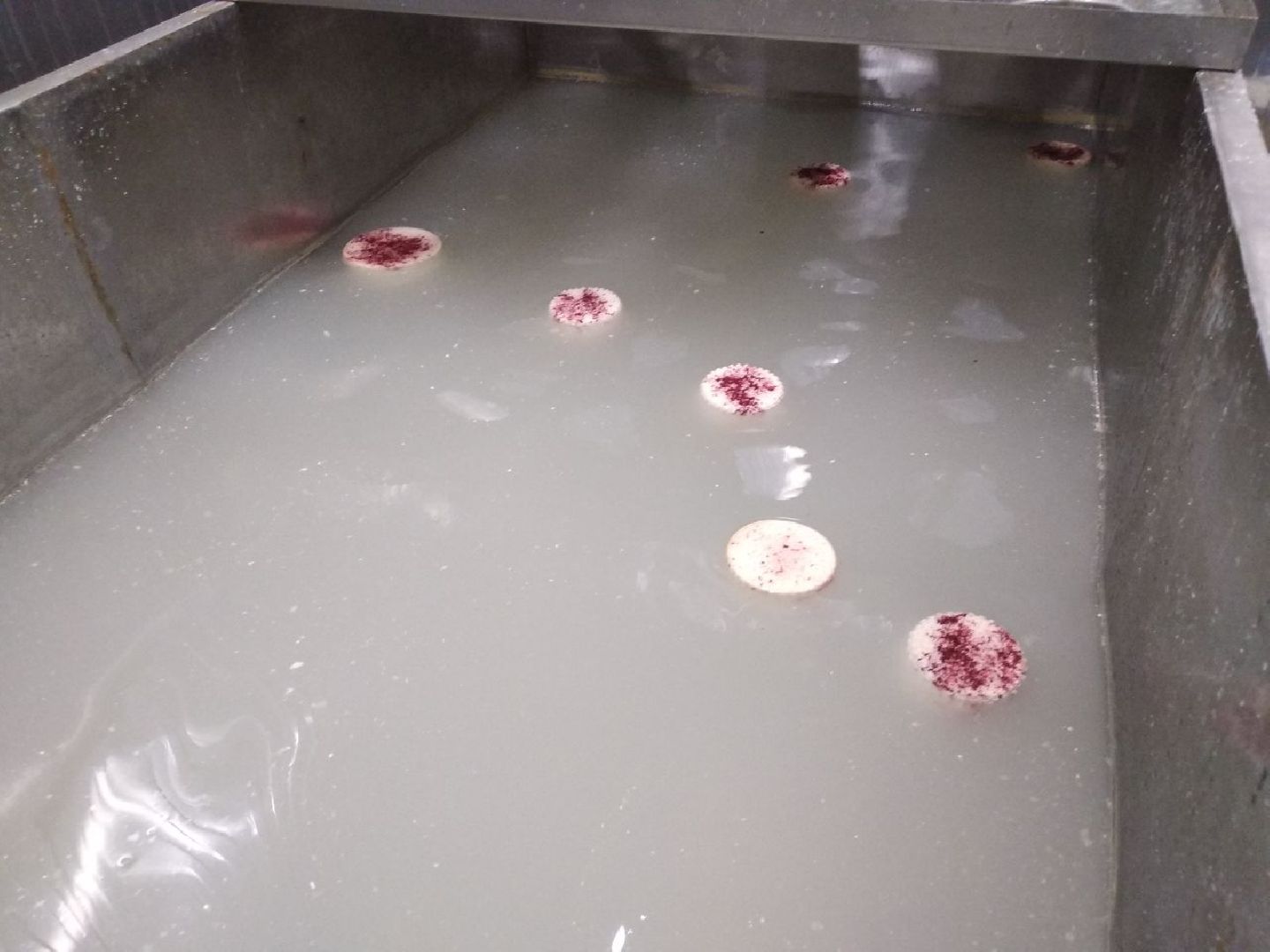 Дмитров, КФХ Свободный труд, Сыроварня, Минсельхоз МО