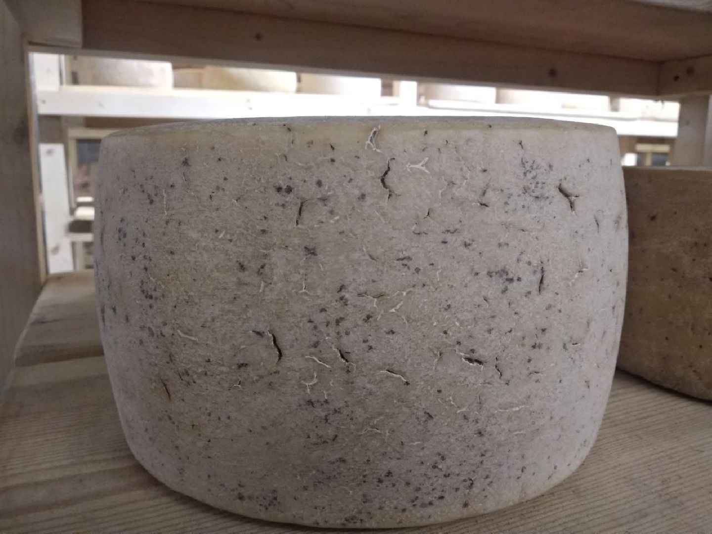 Дмитров, КФХ Свободный труд, Сыроварня, Минсельхоз МО