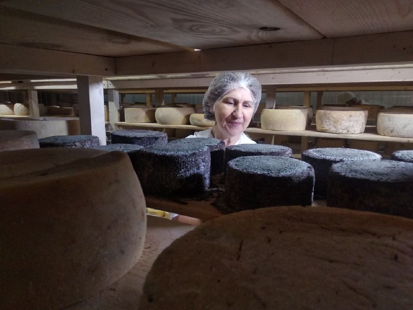 Дмитров, КФХ Свободный труд, Сыроварня, Минсельхоз МО