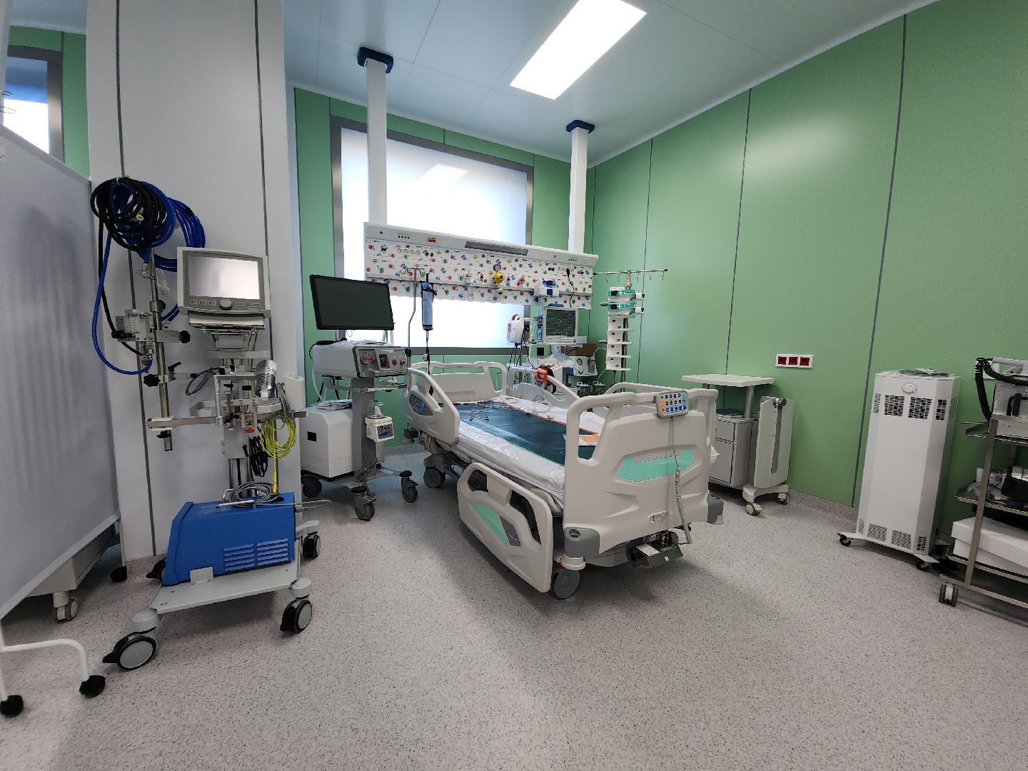 красногорск, детский клинический центр им рошаля, многодетные семьи,