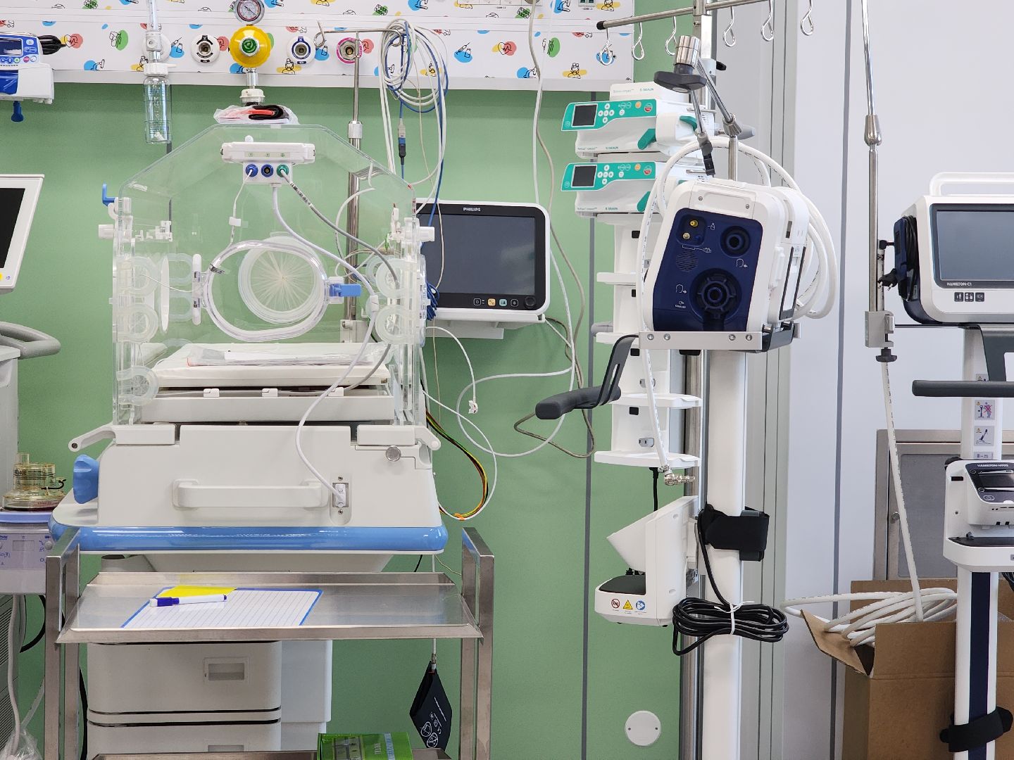 красногорск, детский клинический центр им рошаля, многодетные семьи,