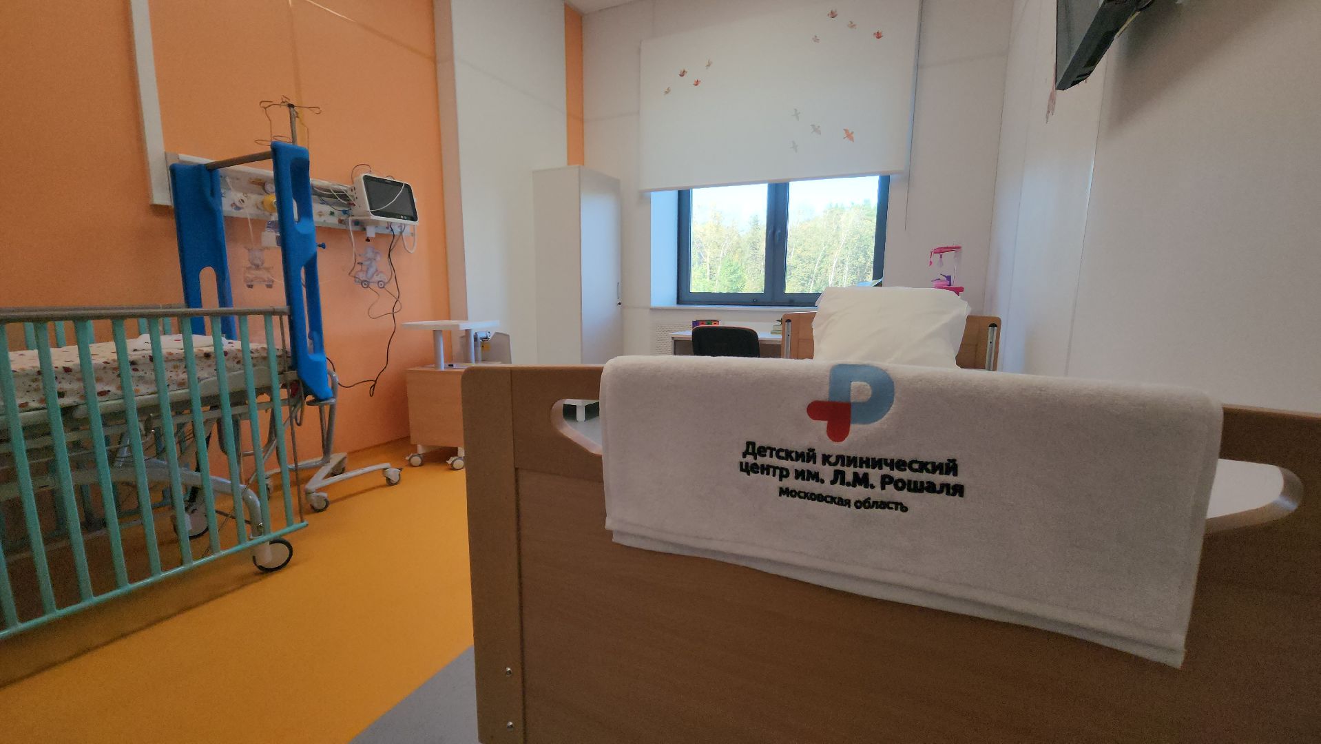 красногорск, детский клинический центр им рошаля, многодетные семьи,