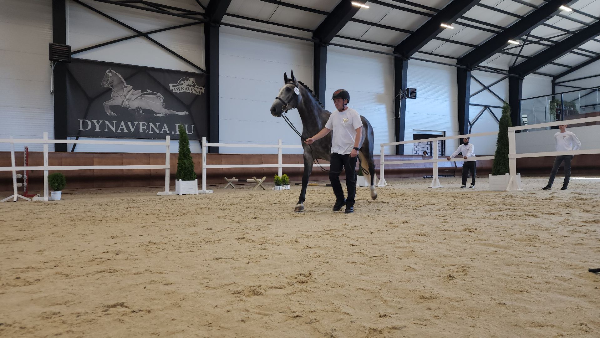 ступино, конный спорт подмосковья, спорт в подмосковье,