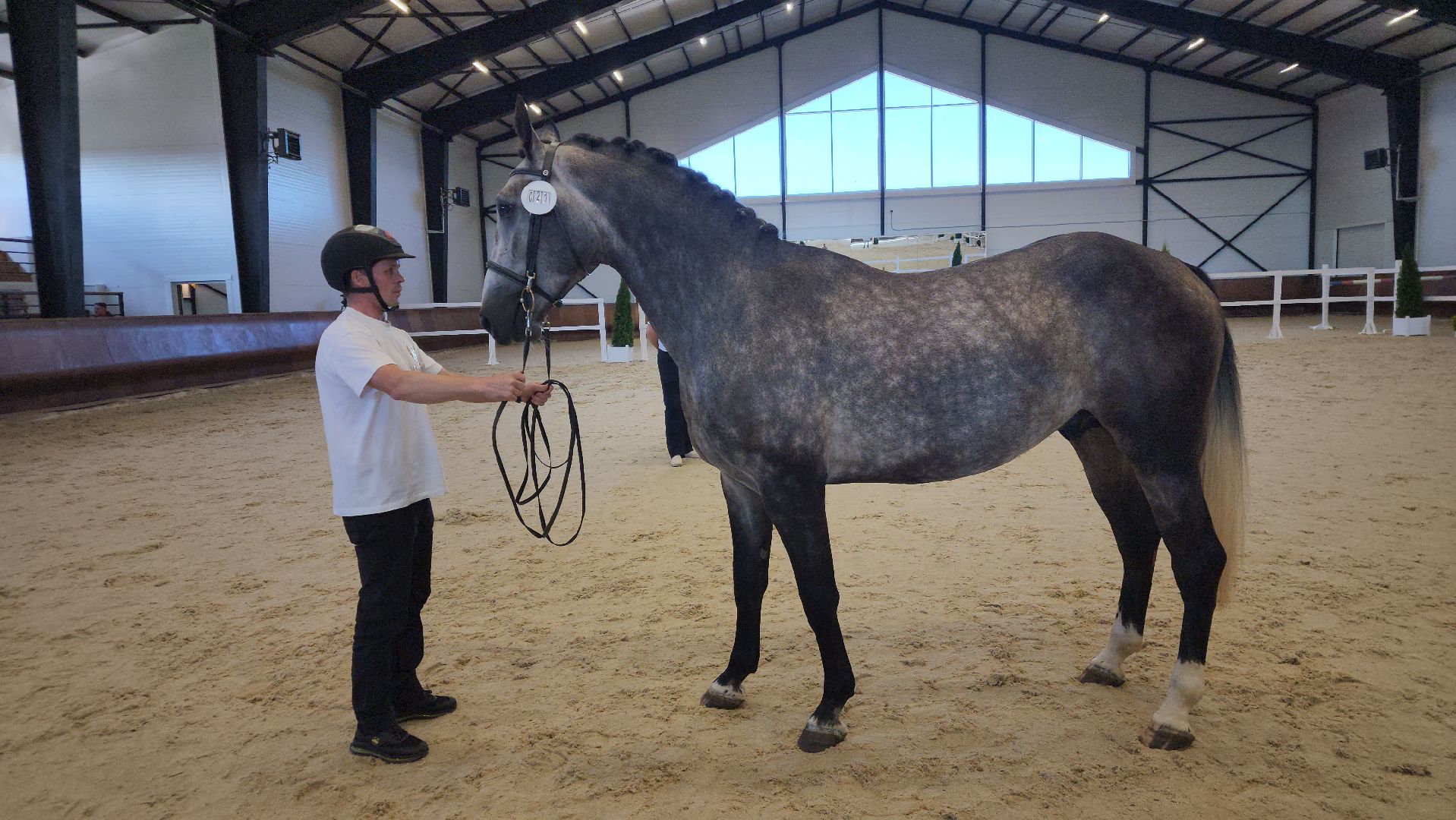ступино, конный спорт подмосковья, спорт в подмосковье,