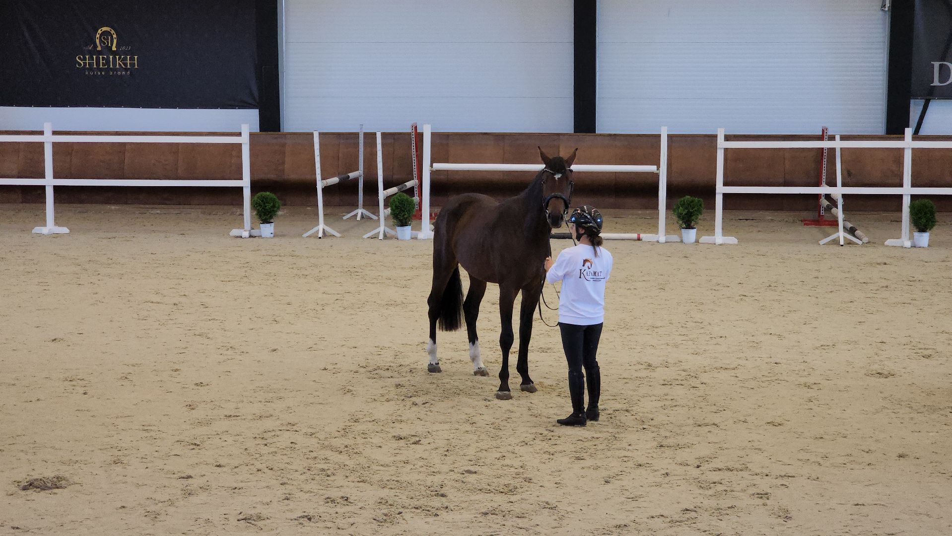 ступино, конный спорт подмосковья, спорт в подмосковье,