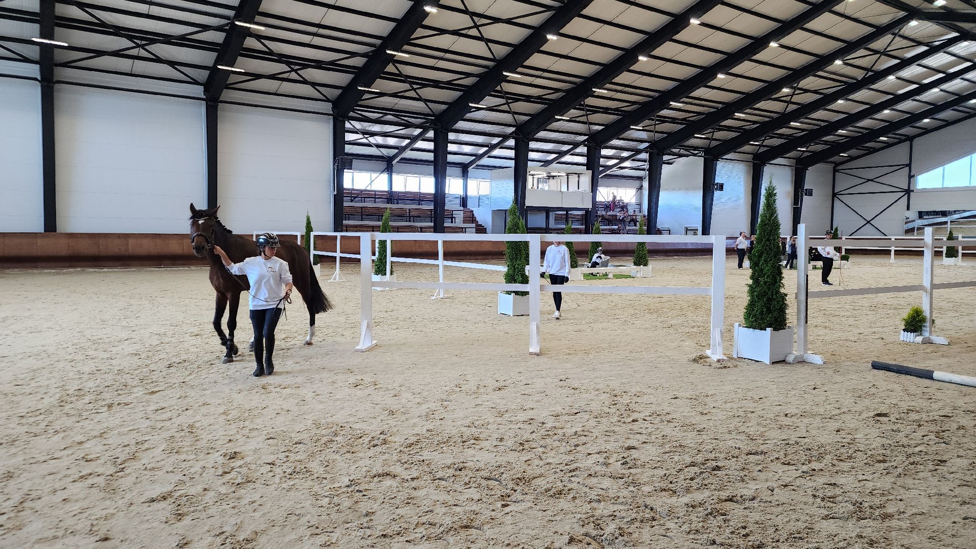 ступино, конный спорт подмосковья, спорт в подмосковье,