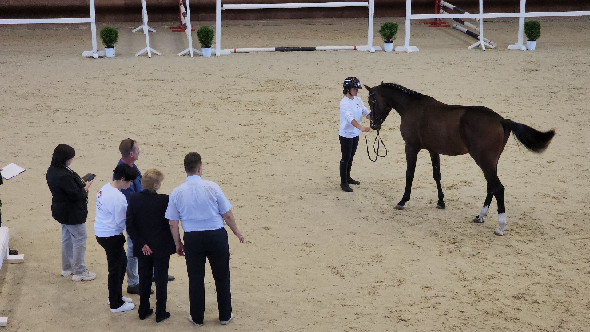 ступино, конный спорт подмосковья, спорт в подмосковье,