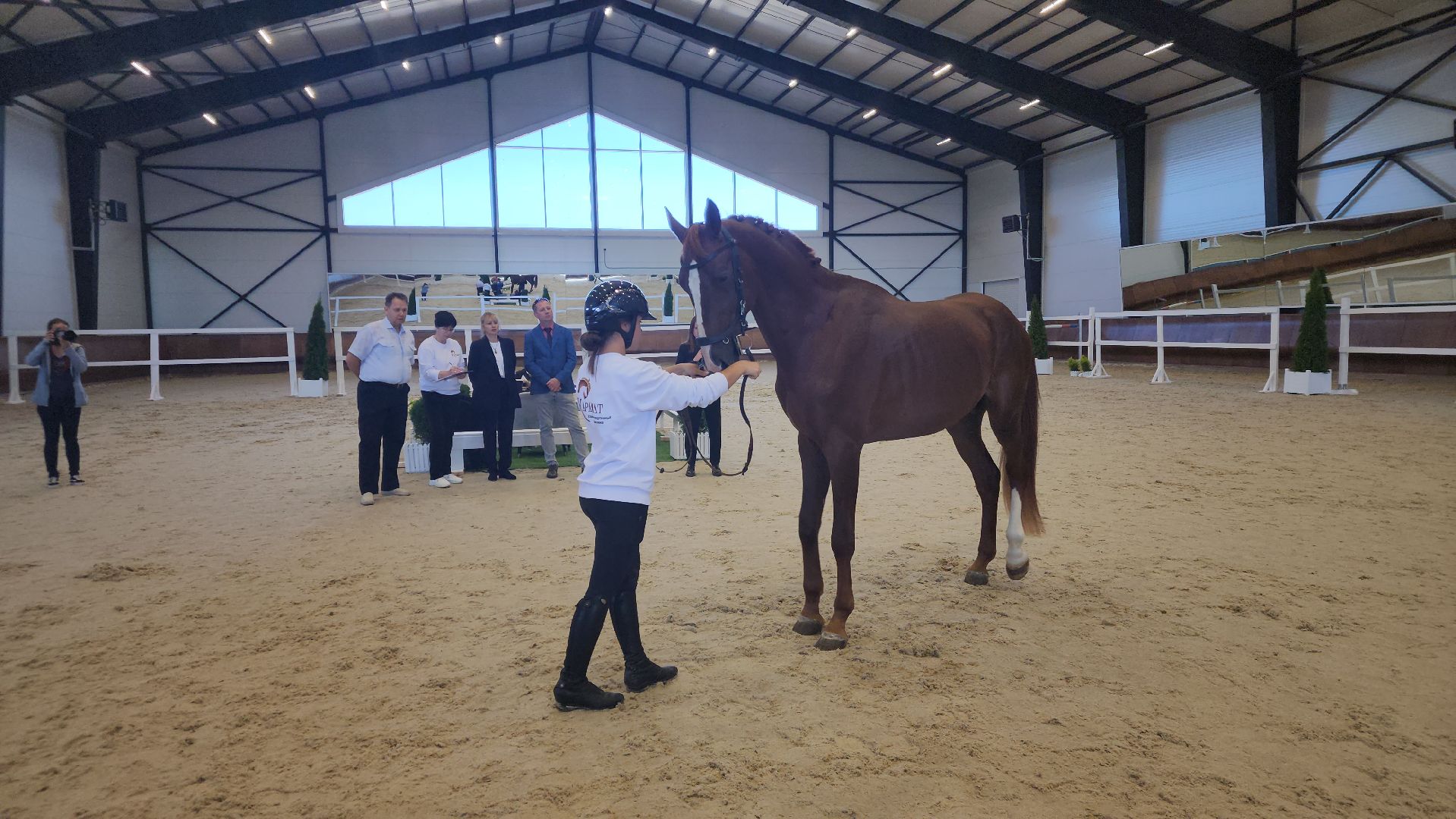 ступино, конный спорт подмосковья, спорт в подмосковье,