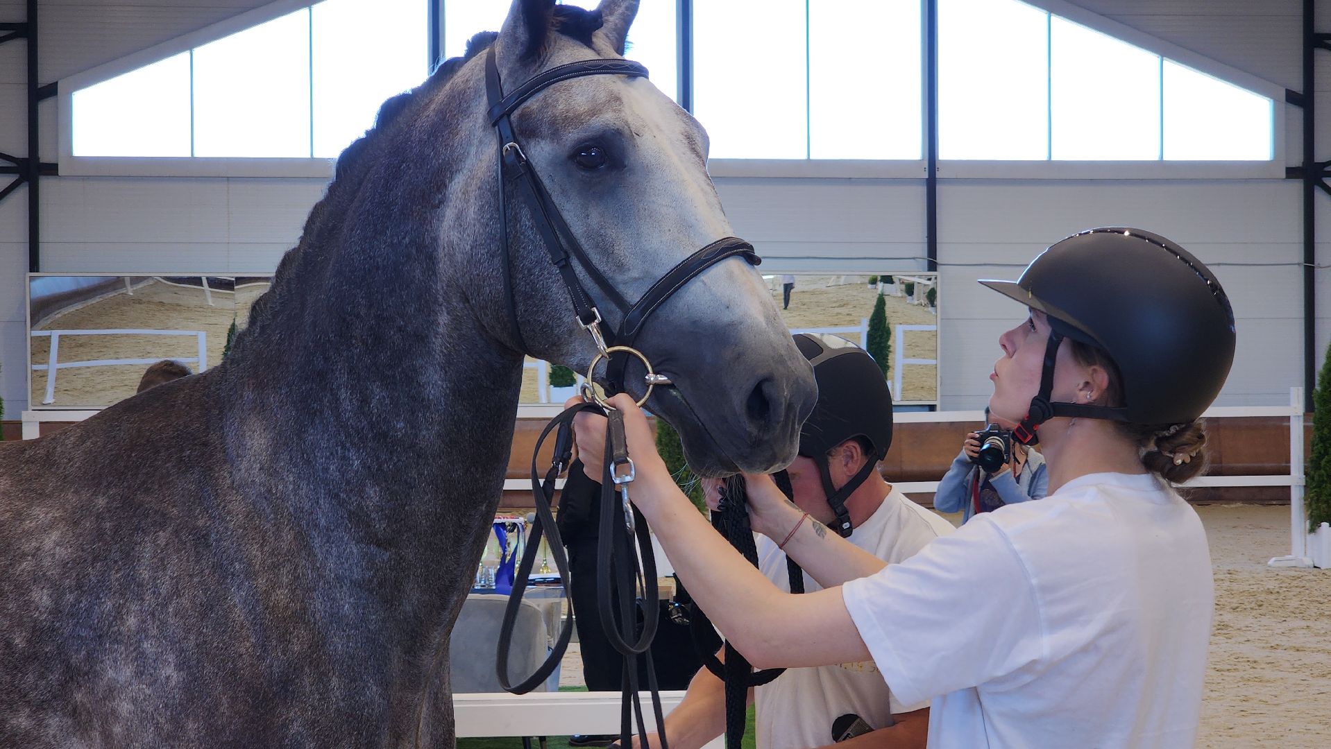 ступино, конный спорт подмосковья, спорт в подмосковье,