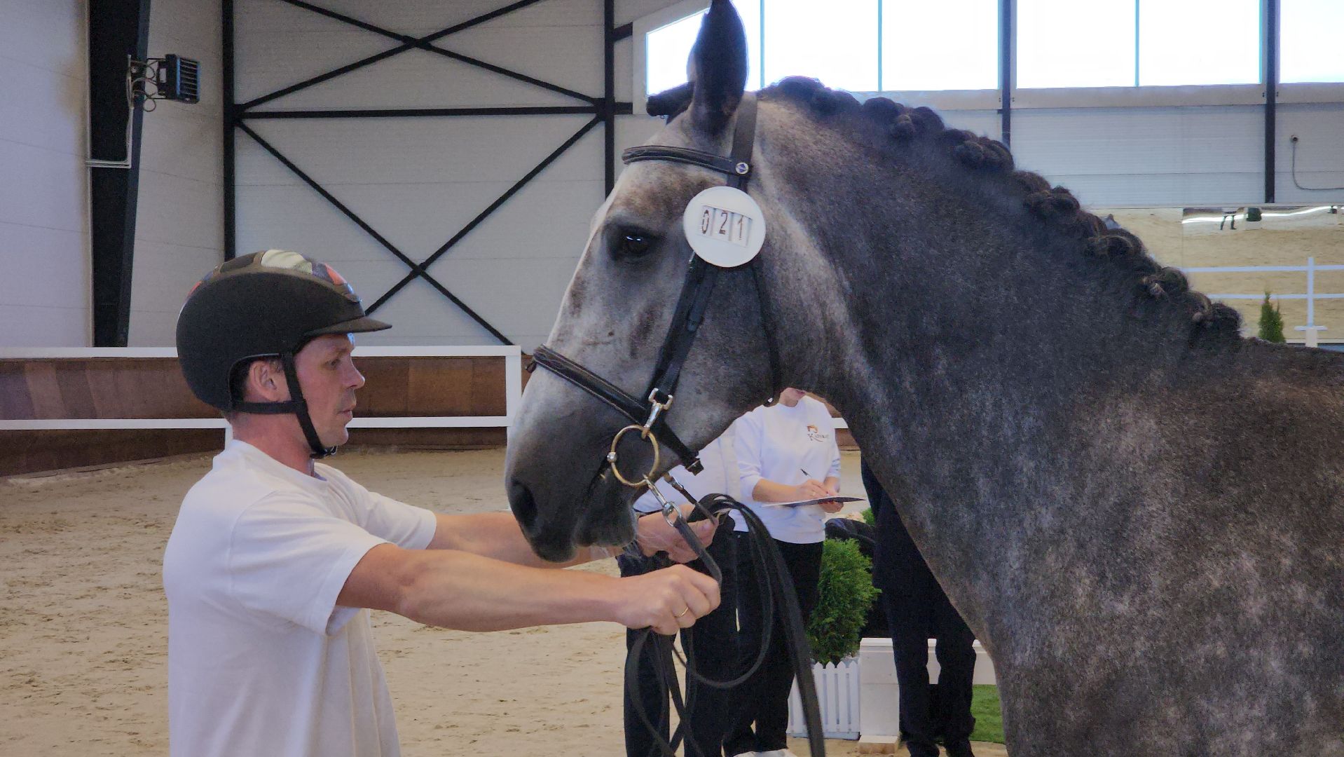 ступино, конный спорт подмосковья, спорт в подмосковье,